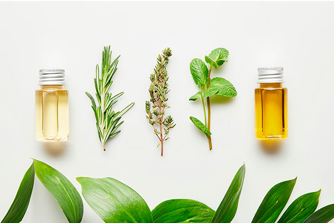 THE TOP 10 ESSENTIAL OILS YOU NEED IN YOUR  WELLNESS ROUTINE
