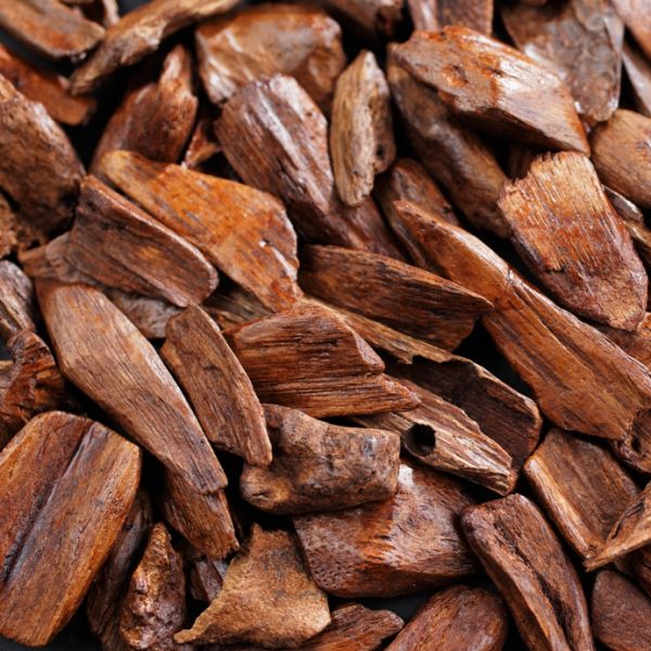 Sandalwood (Santalum austrocaledonicum) Essential Oil