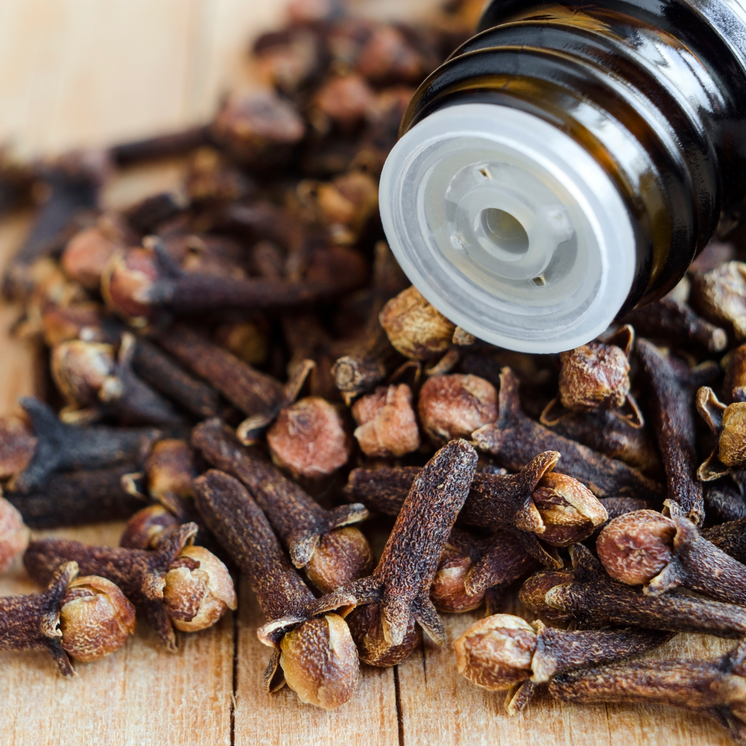 Clove Bud (Eugenia caryophyllus) Essential Oil