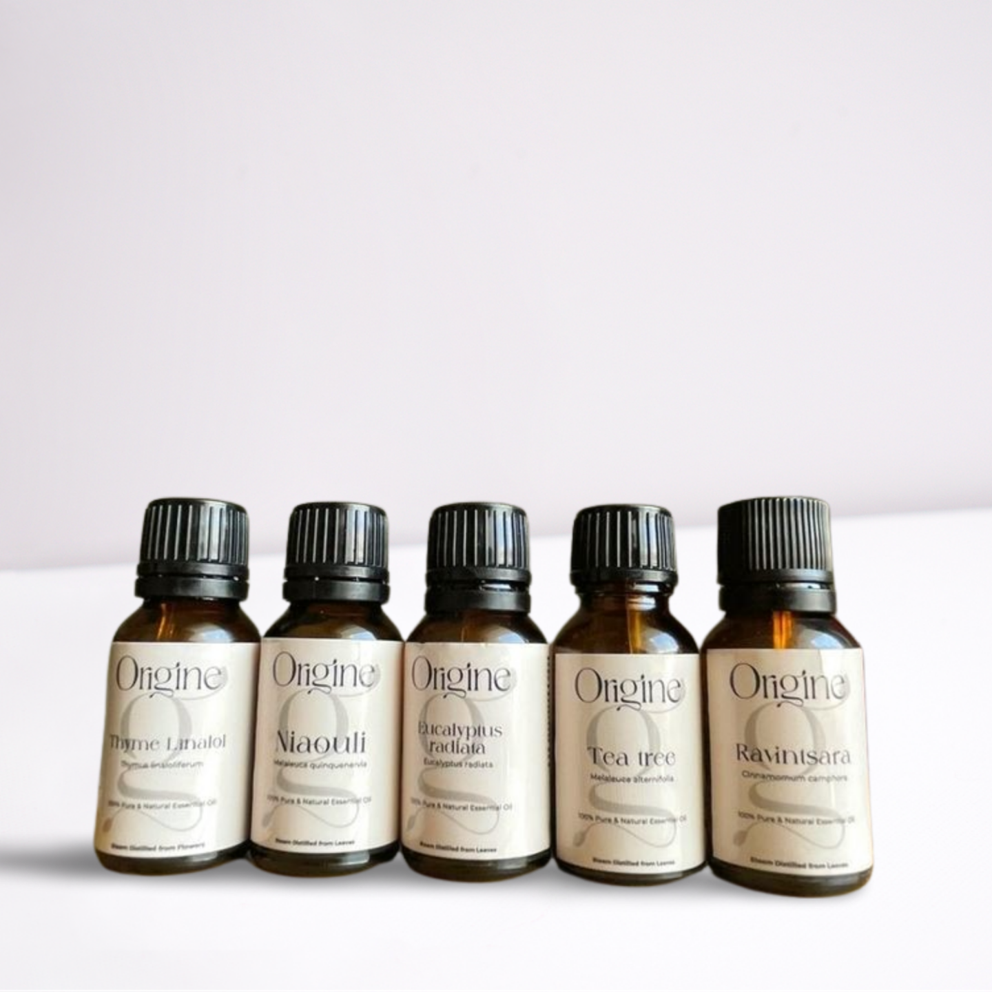 Breathe & Boost Winter Kit (5 Oils)