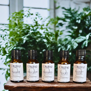 Breathe & Boost Winter Kit (5 Oils)