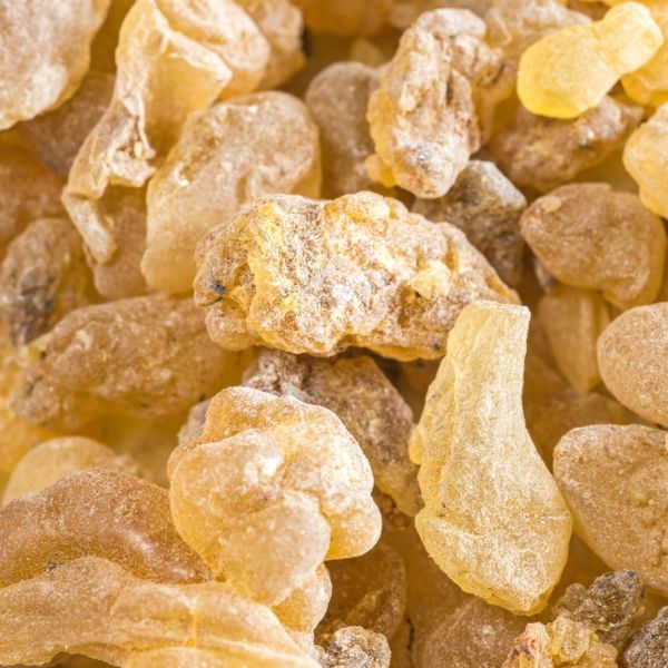 Frankincense (Boswellia serrata) Essential Oil