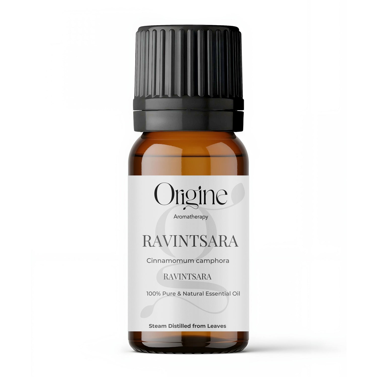 Ravintsara ct. 1,8-Cineole (Cinnamomum camphora) - Organic essential oil